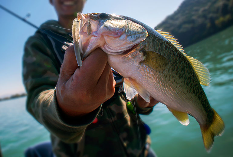 los mejores lugares para pescar en Ecuador